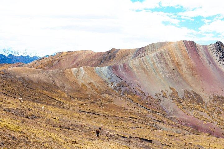 Palccoyo Rainbow Mountain Full Day Tour from Cusco