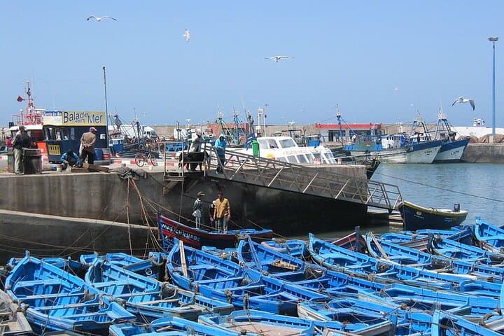 Essaouira Day Trip From Agadir or Taghazout