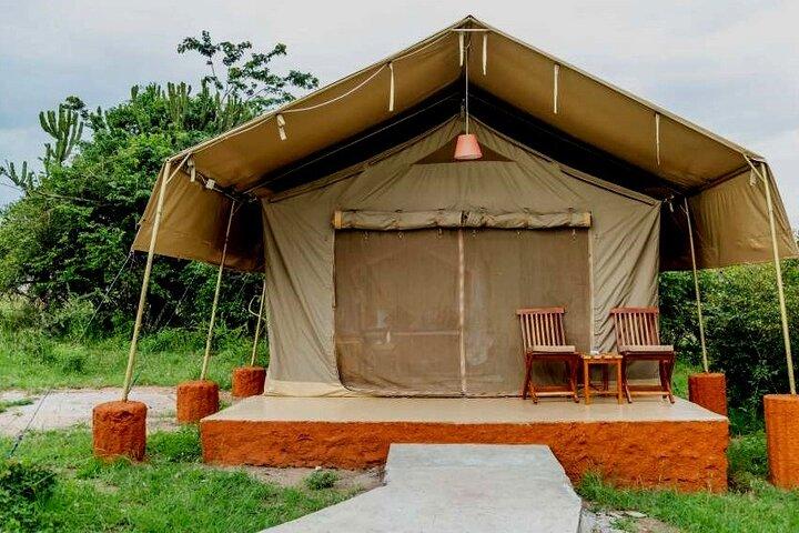 4 Days great of Maasai Mara Lake Nakuru joining safari
