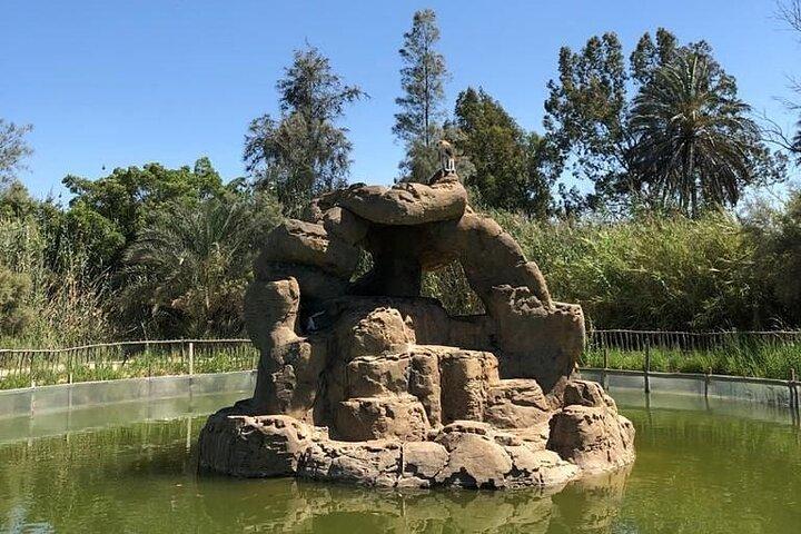 Africano Park Alexandria Safari From Cairo
