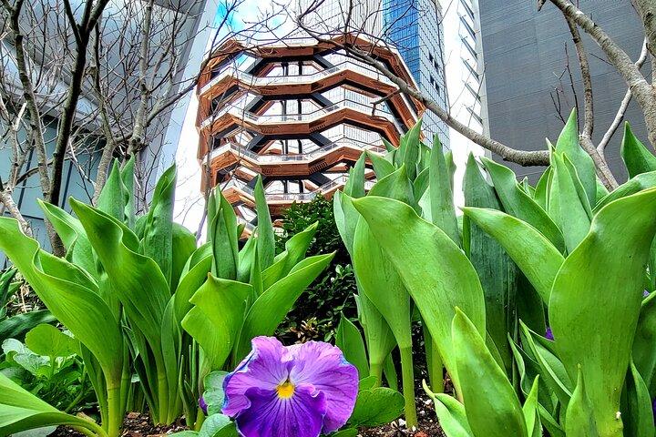 Secrets of the High Line