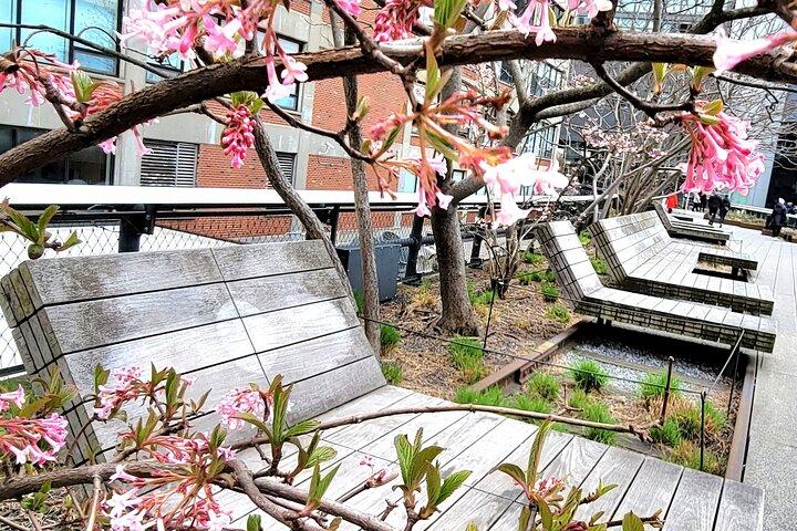 Secrets of the High Line
