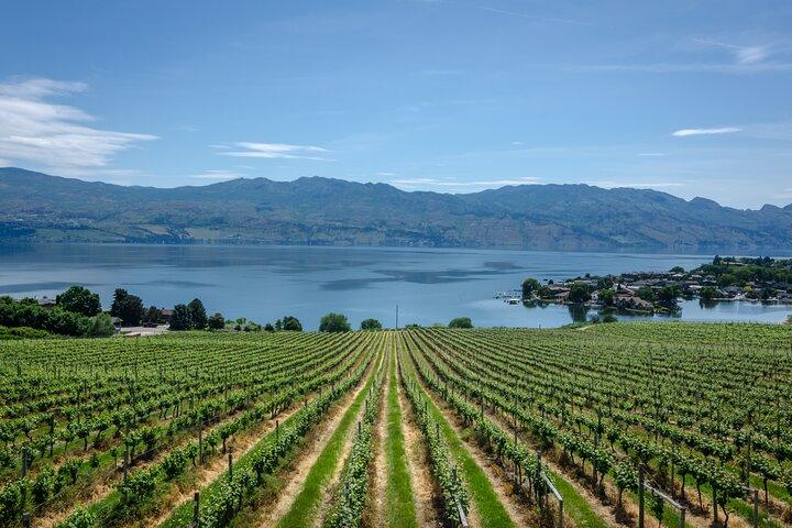 West Kelowna Full Day Lunch Wine Tour-Incl Tastings & Guide Grat