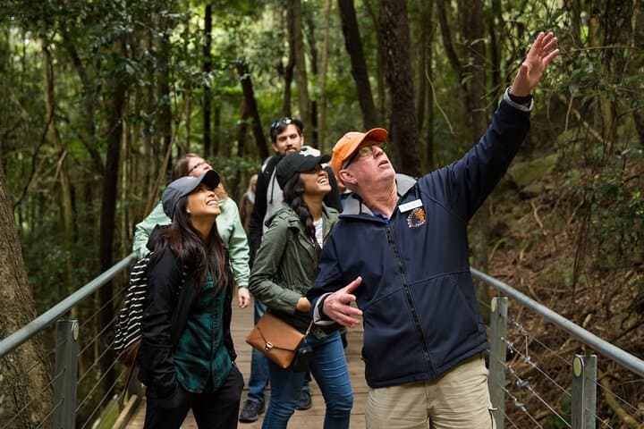 #1 Blue Mountains Small Group All Inclusive with Local Guide