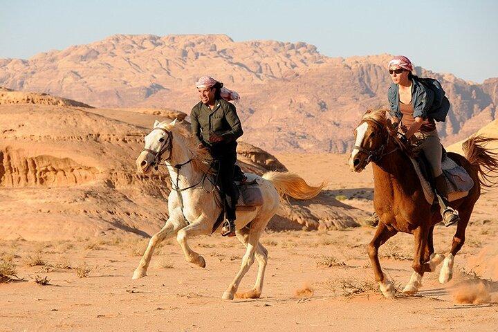 Horse Riding in Dahab