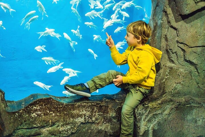 Dubai Aquarium and Underwater Zoo Explorer Tickets