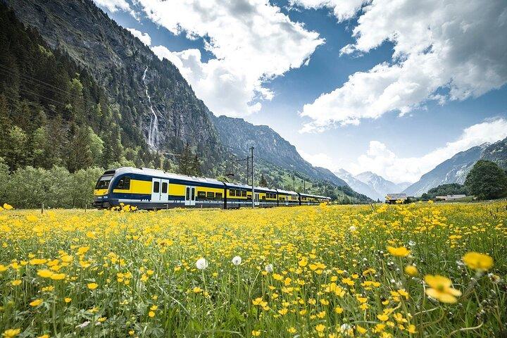 Grindelwald First Mountain Adventure Day Trip from Lucerne