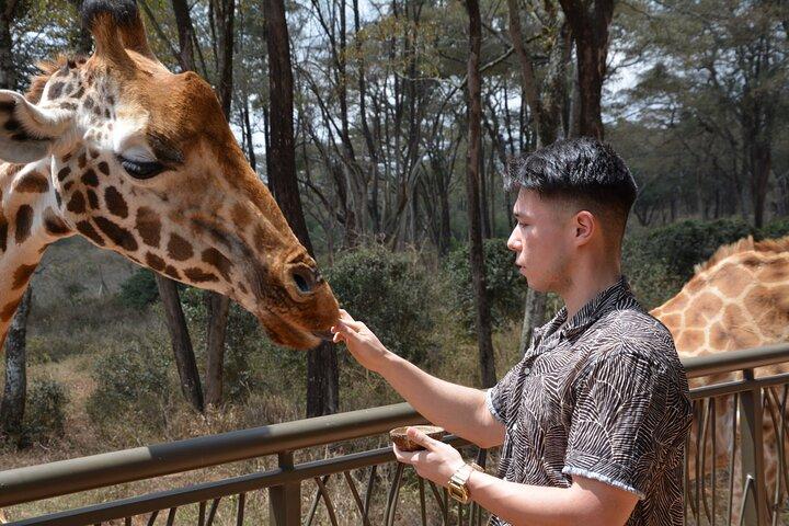 Half-Day Nairobi National Park and Maasai Market with Pick up