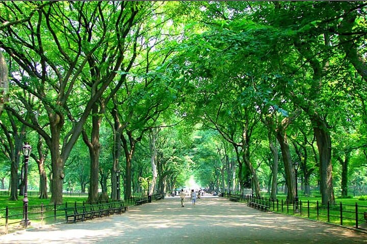 Private New York City Walking Tour: Central Park History and Hidden Secrets