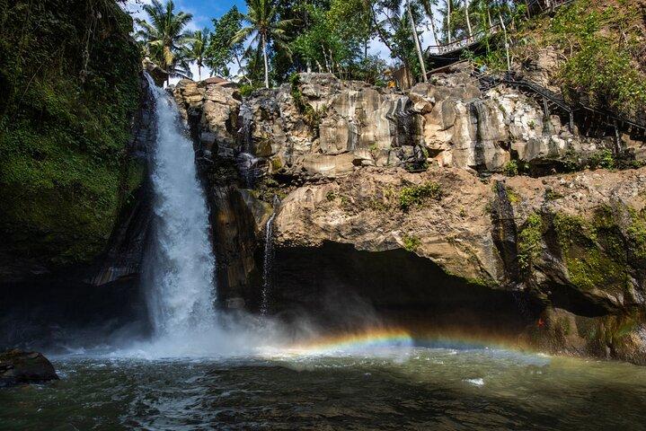 Bali All-Inclusive: Ubud Tour with Entrance Ticket and Lunch Included