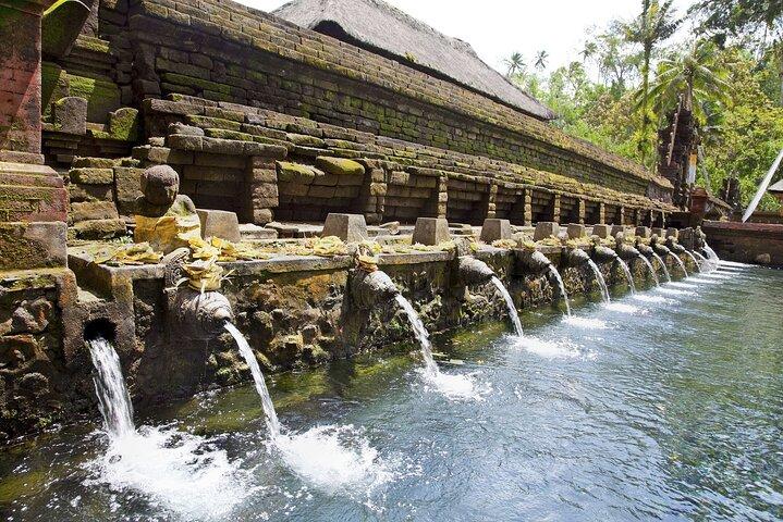 Bali All-Inclusive: Ubud Tour with Entrance Ticket and Lunch Included