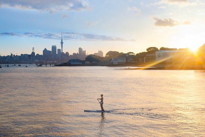 Discover Auckland City Tour: The City of Sails