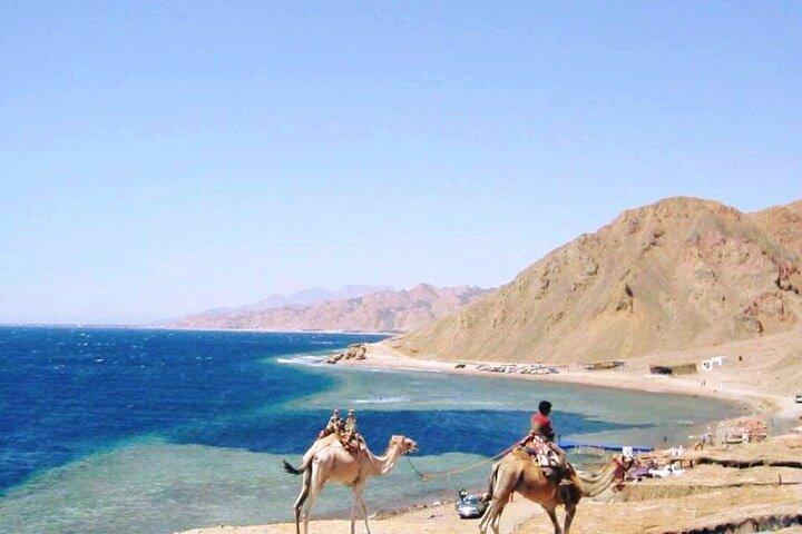 Blue Hole and 3 Pools Snorkel with Lunch from Dahab