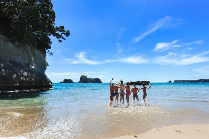 Private Tour - Coromandel Beach, Caves & Forest