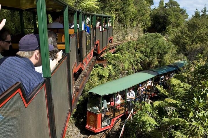 Private Tour - Coromandel Beach, Caves & Forest
