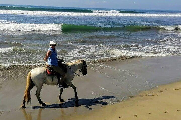 Gentle Paradise Lonely Beach Horseback Ride & Afro-Mex Village