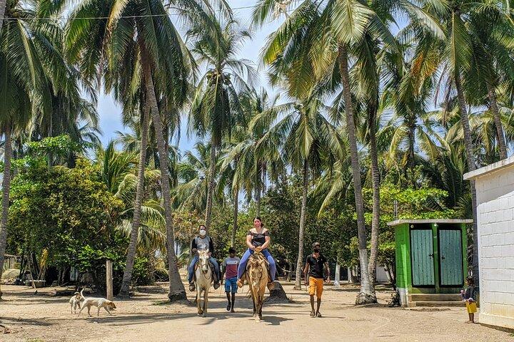 Gentle Paradise Lonely Beach Horseback Ride & Afro-Mex Village