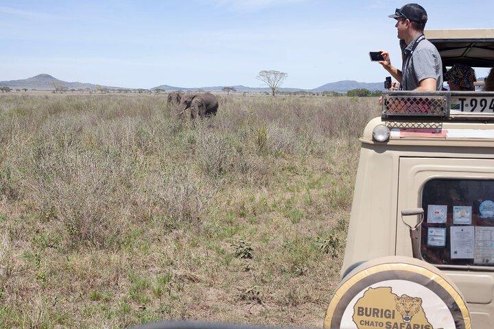 3-Day Tanzania Group Safari-Tarangire, Ngorongoro & Lake Manyara