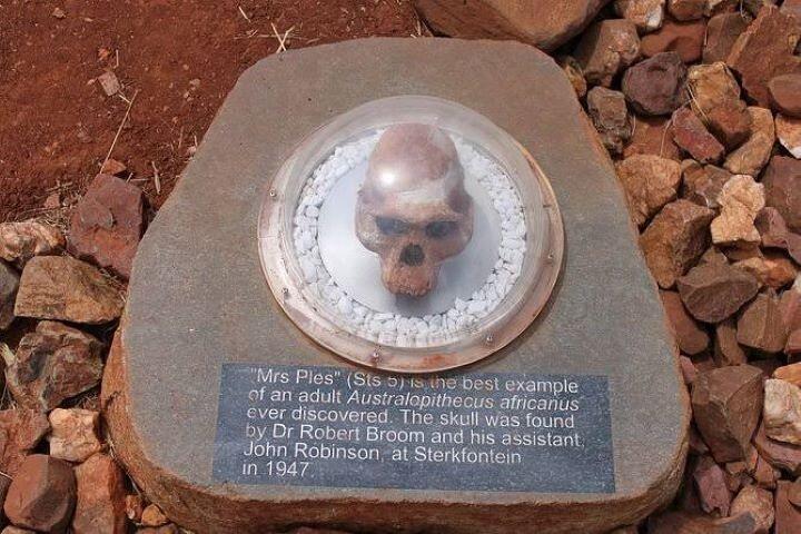 Cradle of Humankind tour: Sterkfontein Caves and Maropeng Centre
