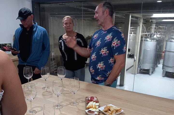 Wine Lovers: Winery Tour w/ Tasting & Tapas (Albufeira/Vilamoura)