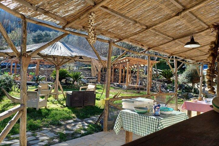 Authentic Farm Tour with Pizza, Cheese, Wine & Limoncello Tasting