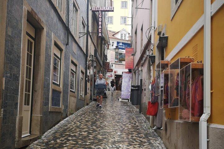 Sintra Tour with Pena Palace, Moorish Castle and Regaleira - Private