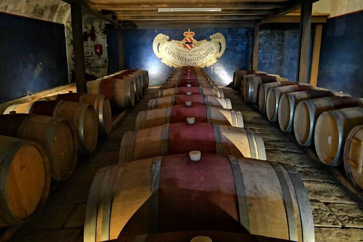 Private Wine Tour Tuscany half day Limousine Service Florence