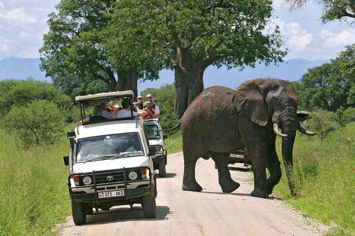 3Days luxury safari to Tarangire Ngorongoro crater and Manyara