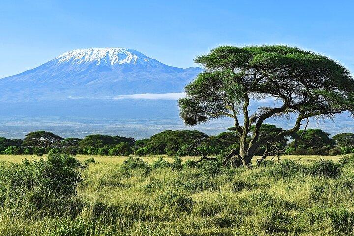 3 Days All Inclusive Zanzibar to Tarangire Ngorongoro