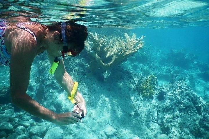 Private Tour: Tioman Island (Sribuat) Reef Snorkel & Summit Hike from Singapore