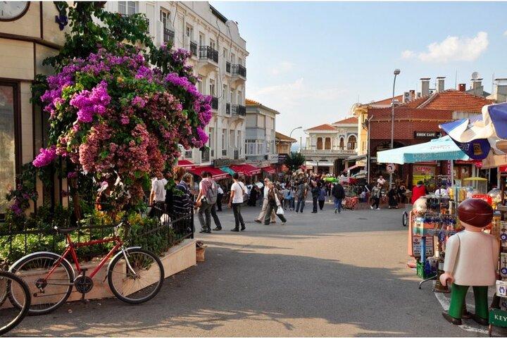Istanbul: Princes Islands Tour with Hotel Transfer & Lunch