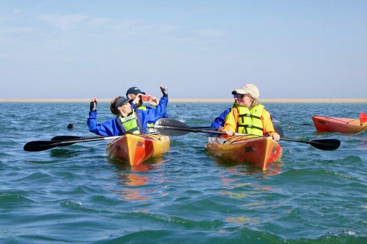 Pelican Point Kayaking Half-Day Tour