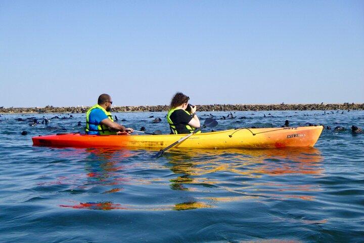 Pelican Point Kayaking Half-Day Tour
