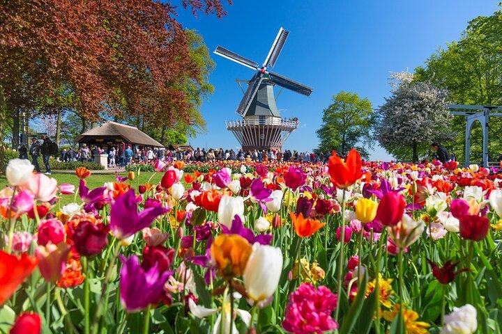 Skip-the-Line Keukenhof Gardens and Tulip Fields Tour from Amsterdam