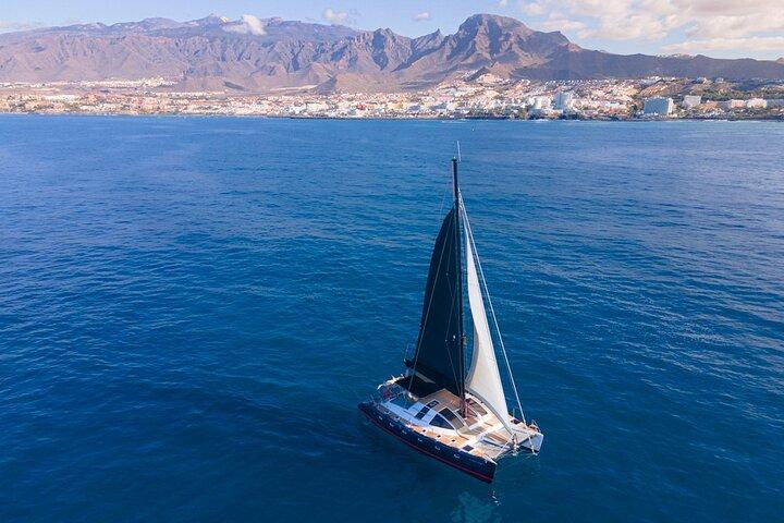 Tenerife Whale Watching Only Adults Exclusive Chill Out Catamaran
