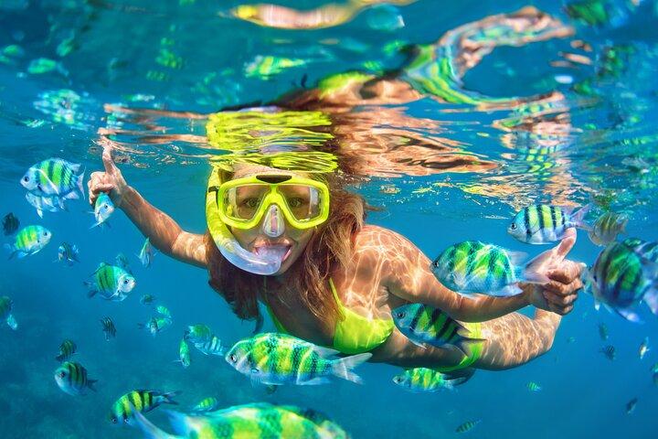 Blue Lagoon Bali Snorkeling Experience with Lunch & Optional Tour