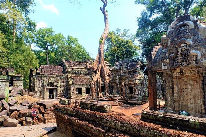 Discover Cambodia 8 Days from Siem Reap to Kratie and Phnom Penh