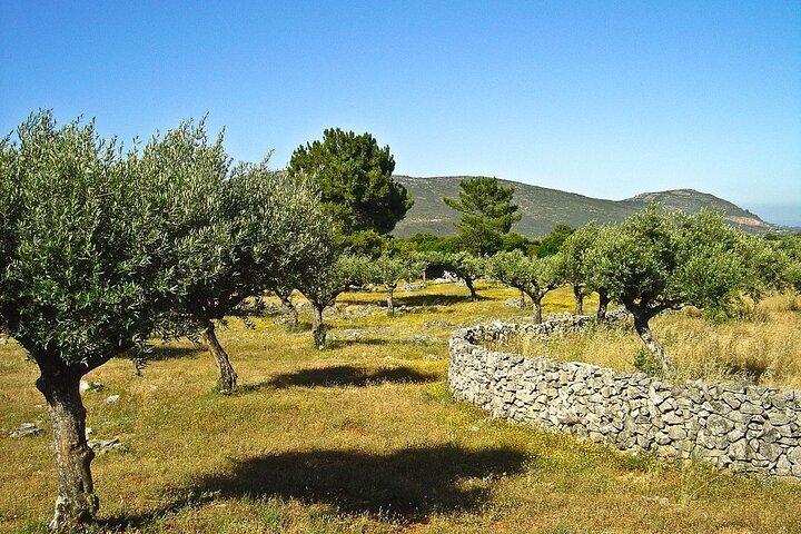 Aire e Candeeiros Nature Park Full Day Private Tour from Lisbon