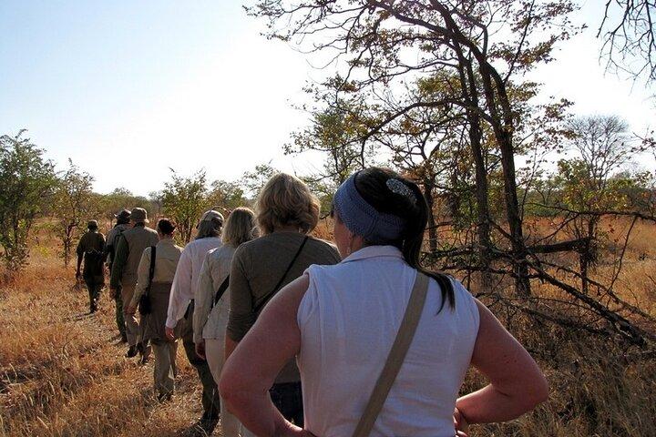 Half-Day Nature Walk in Mosi-oa-Tunya National Park from Livingstone