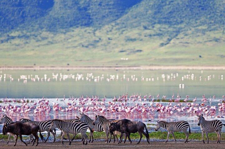 3 days Safari to Tarangire, Ngorongoro and Manyara from Zanzibar