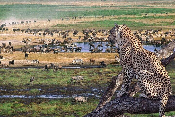 3 days Safari to Tarangire, Ngorongoro and Manyara from Zanzibar