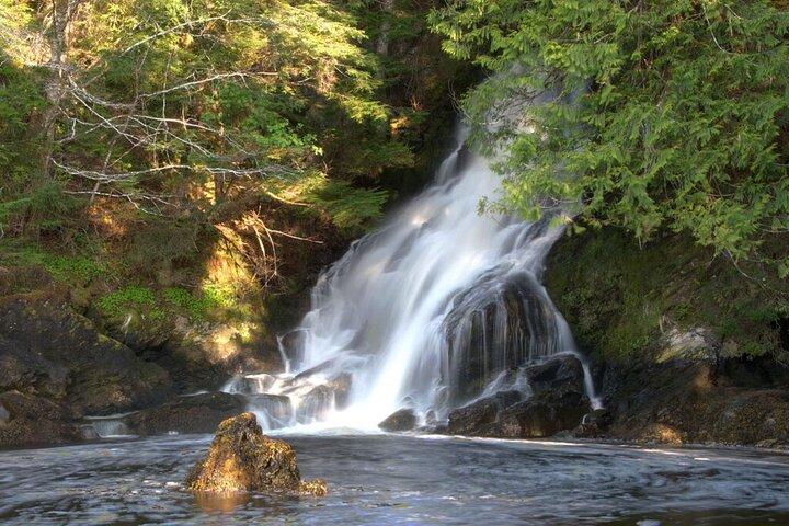 Customizable Tour in Ketchikan with Pick Up