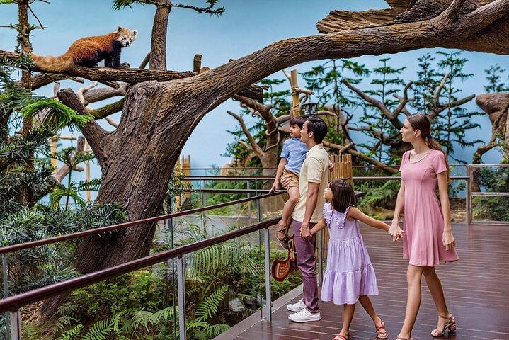 Singapore: River Wonders Entry Ticket