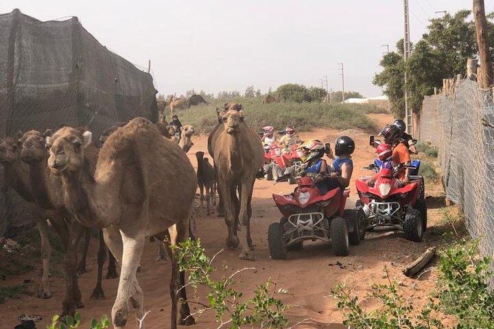 Agadir Quad Biking Adventure in Desert & Beach with Tea Break