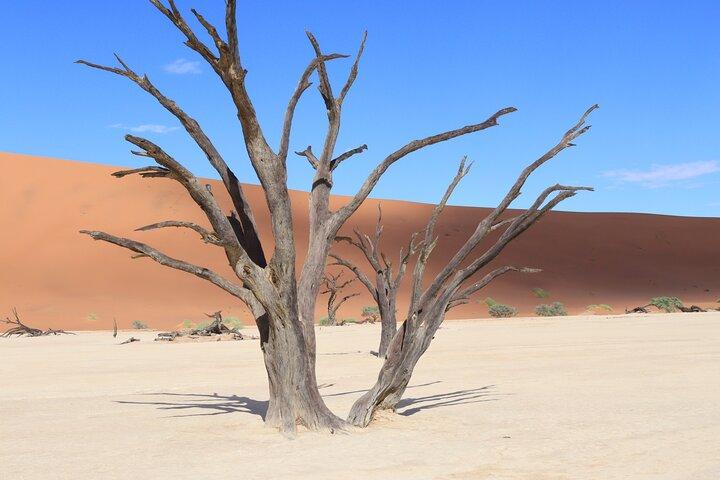 5 Day Namibia Desert Photography Tour