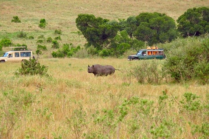 3 Days Private Tour at Masai Mara National Reserve