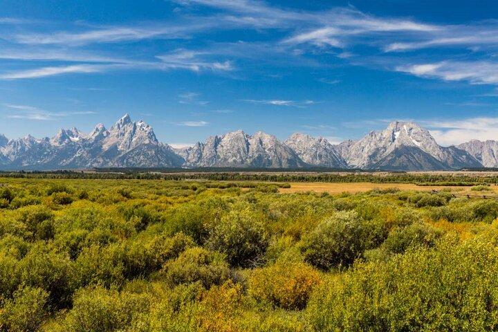 Grand Teton and Yellowstone Self-Guided Driving Tours Bundle