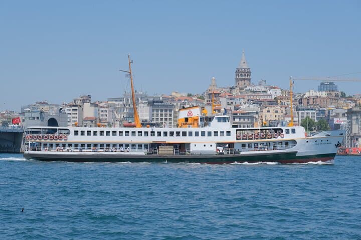 Full Day Istanbul Bosphorus Cruise and Dolmabahce Palace Tour with Private Guide