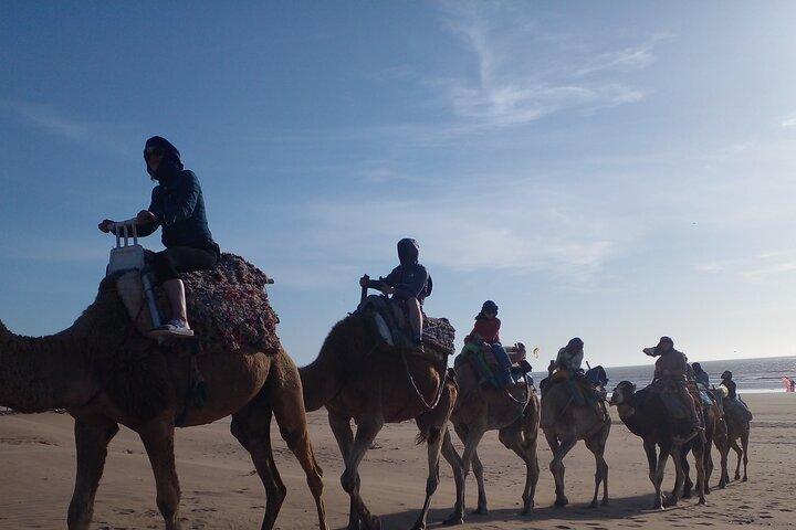 Essaouira: 2H camel/pick up and drop off including