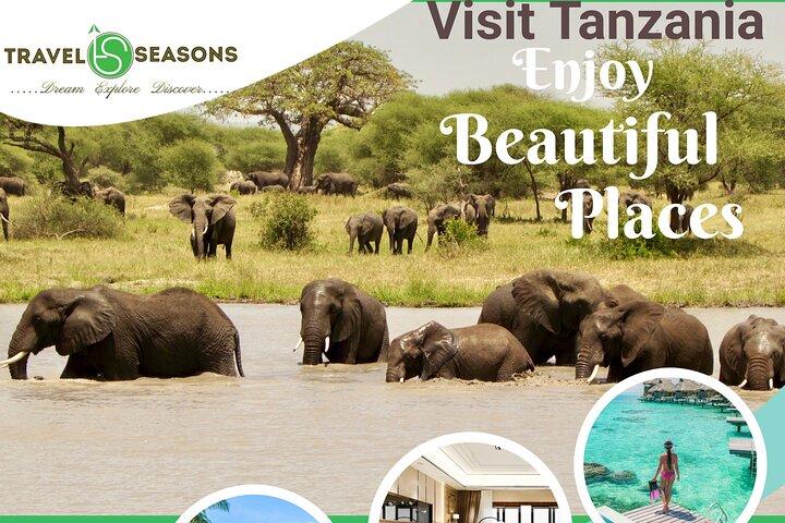 Tarangire National Park and Ngorongoro Crater 2-Day Private Tour